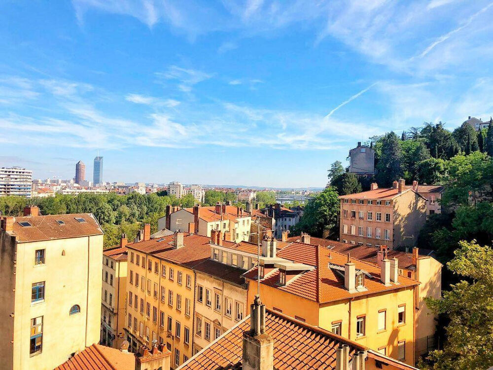 Location Appartement Studio meublé de 29 m2 face au Parc de la Tête d'O Lyon 4