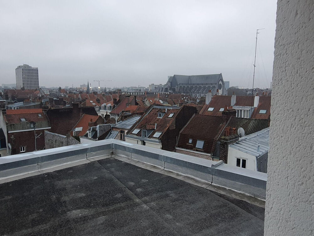 Location Appartement Studio calme lumineux idéalement placé Vieux Lille Lille