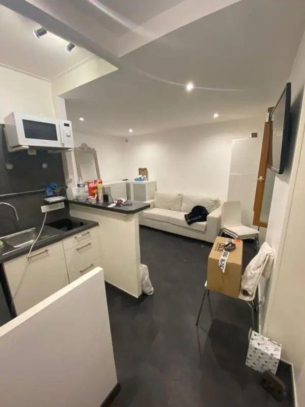 Location Appartement Studio refait à neuf, lumineux, belle cour Paris 15