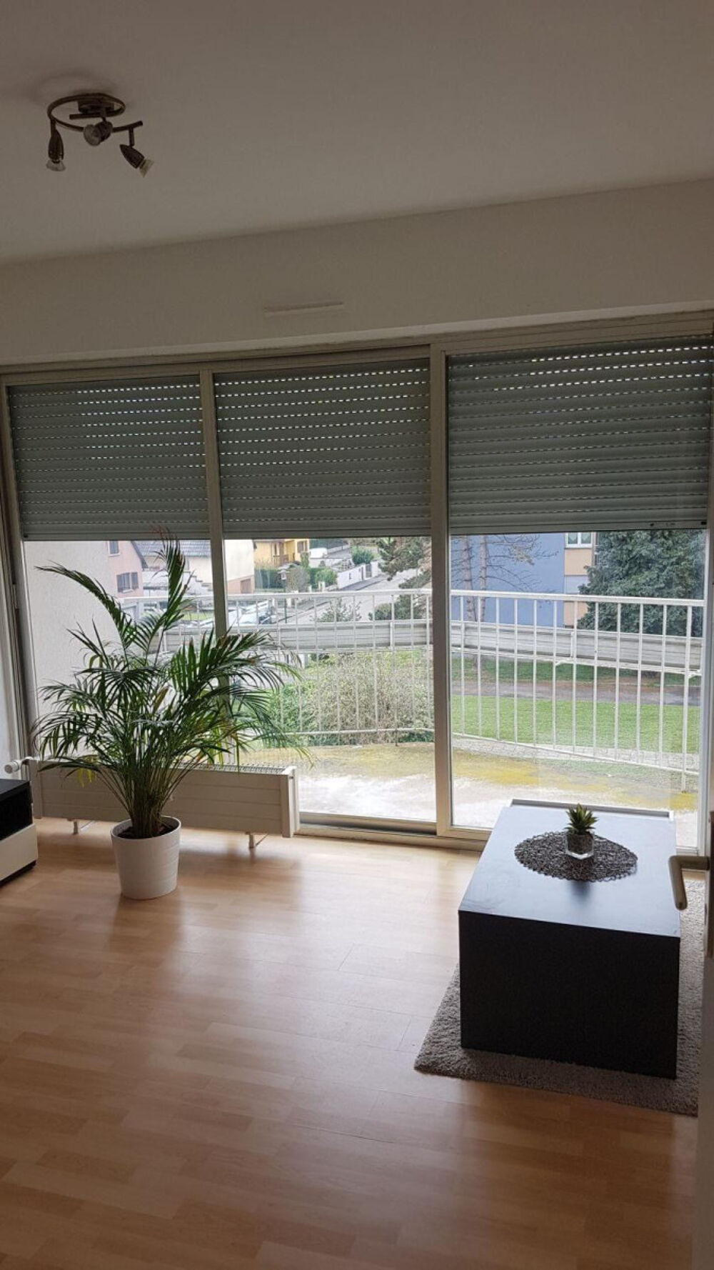 Location Appartement SITUATION CALME Erstein