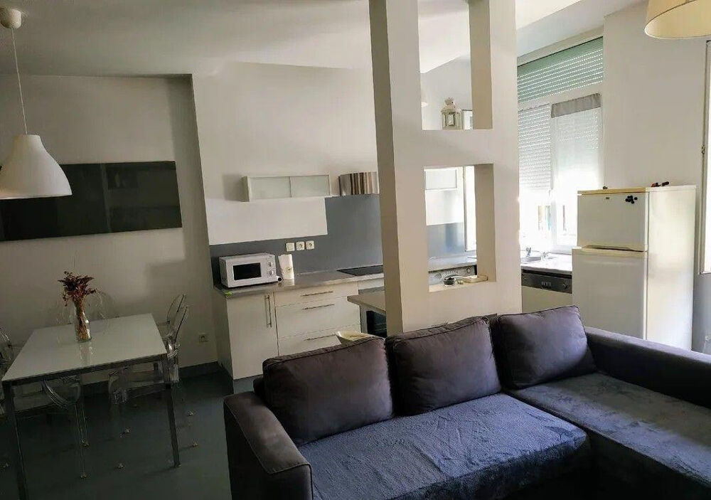 Location Appartement Beau 2P 70m² refait à neuf traversant très clair Saint-Étienne