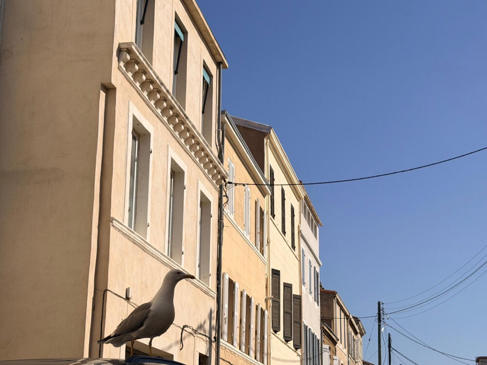 Vente Maison Appartement 3 pièces et local commercial Marseille 8