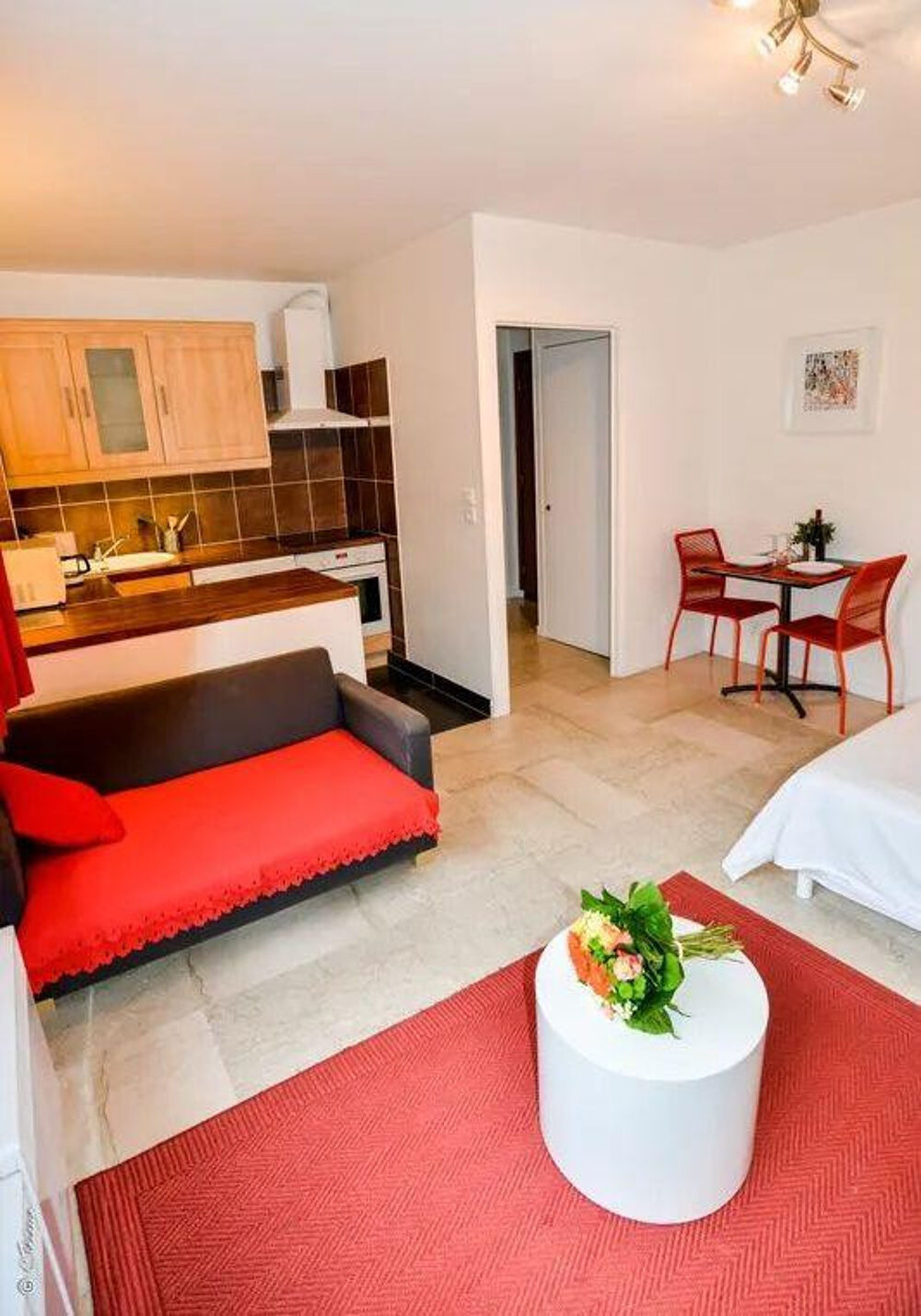 Location Appartement Beau studio meublé 28m² calme et lumineux Lyon 3