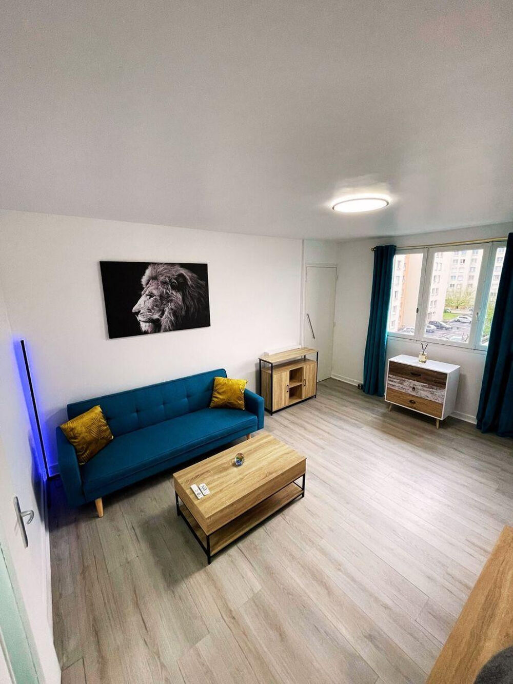 Location Appartement 2 chambres dans beau T3 57m² meublé à neuf Villeurbanne