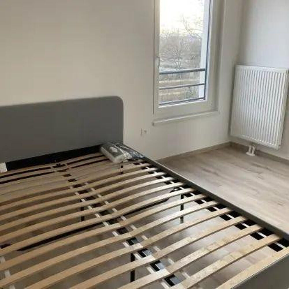 Location Appartement Magnifique 3 pièces meublé neuf 62m2 à louer Strasbourg