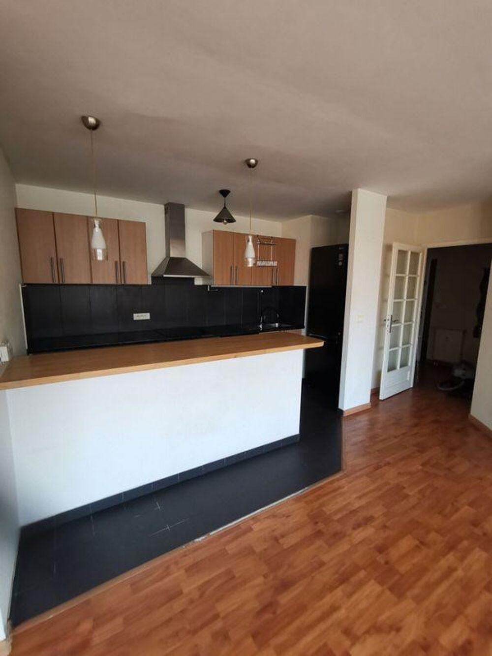 Location Appartement Beau 2P bis 69m² style loft Strasbourg