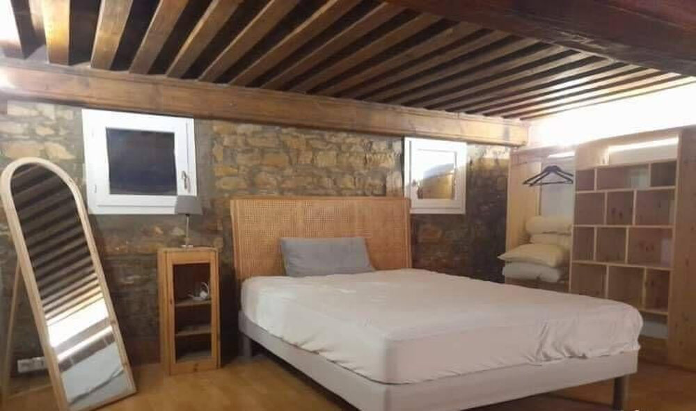Location Appartement Magnifique meublé 2P 49m2 à la Croix-Rousse Lyon 4