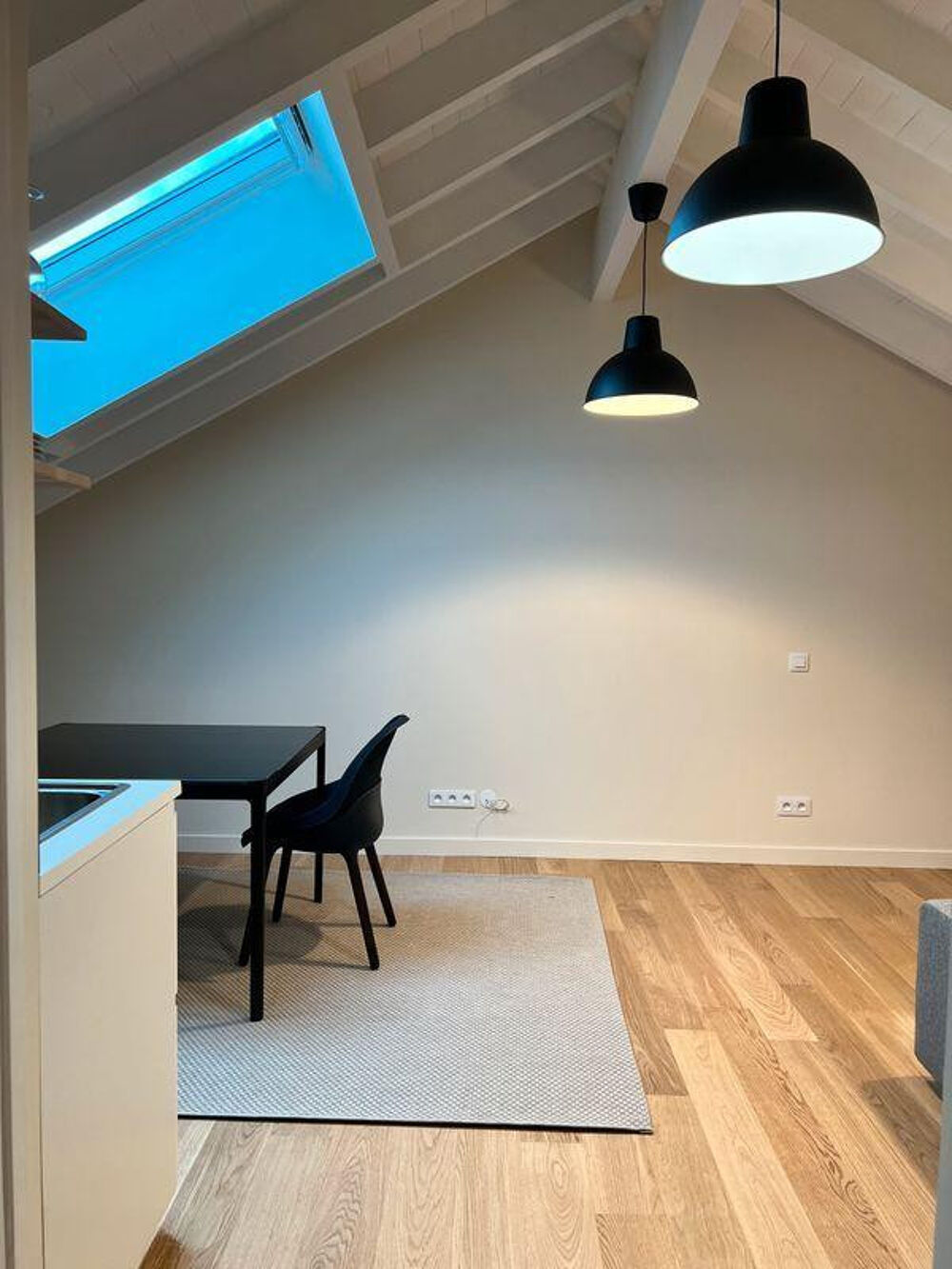 Location Appartement Loue grand studio sous-combles Cachan