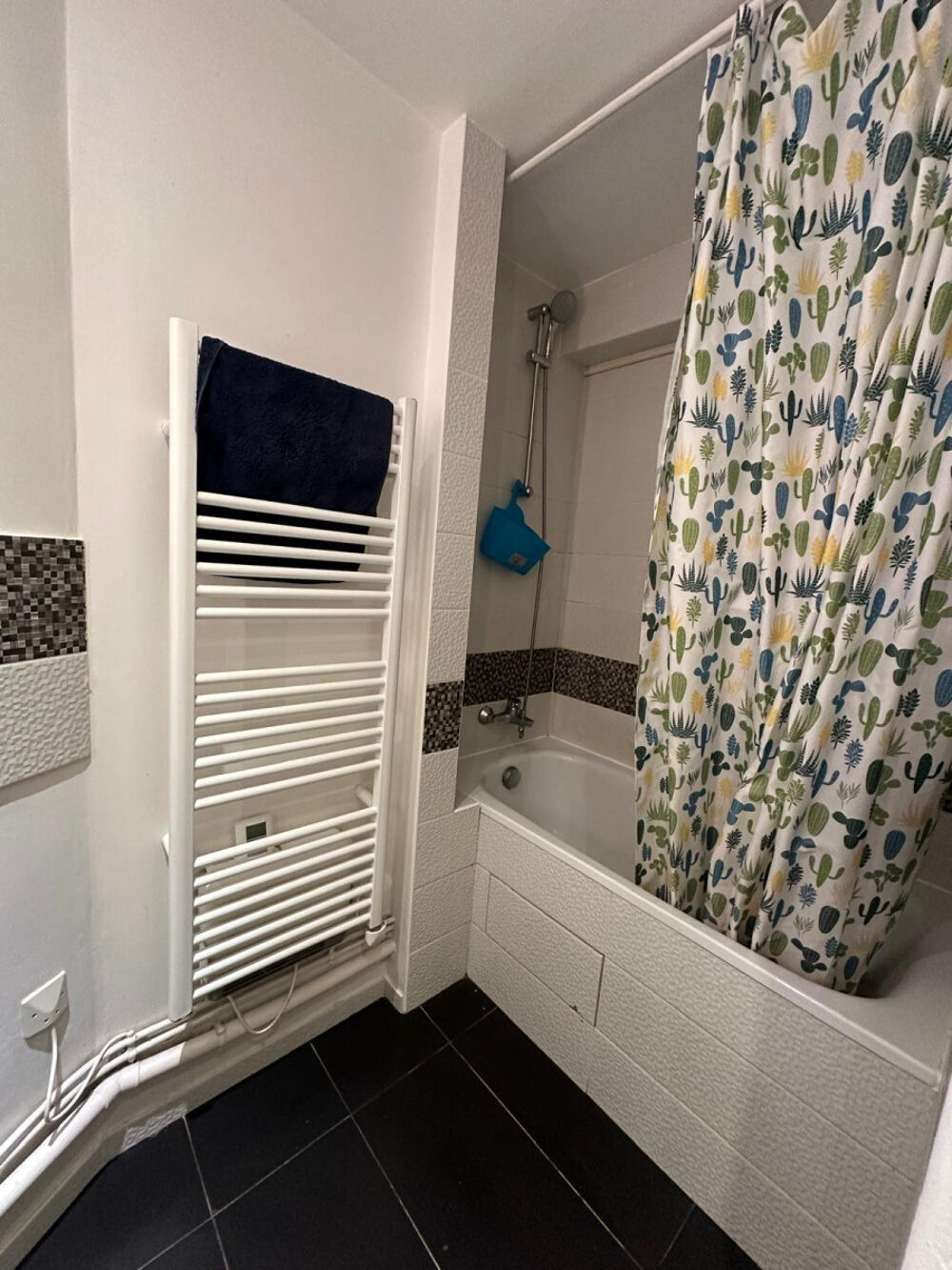 Location Appartement Appartement 3P Joinville-le-pont