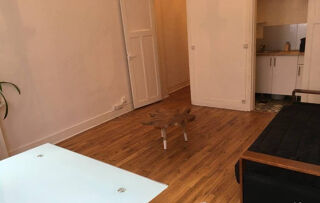  Appartement à louer 2 pièces 42 m²