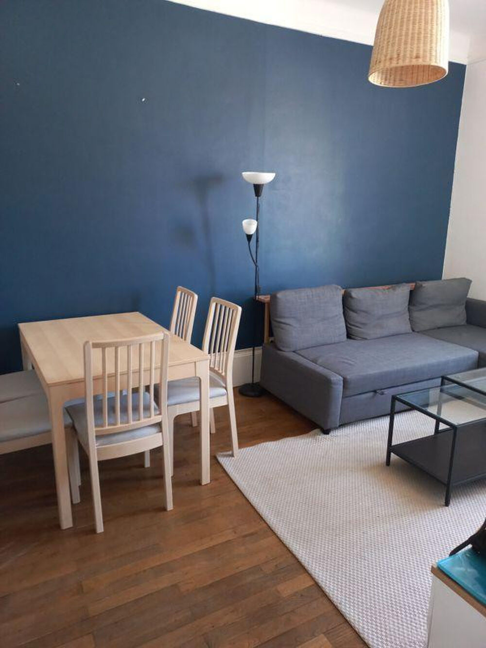 Location Appartement F2 meublé Montplaisir Lyon 8
