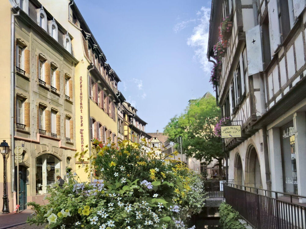 Appartement exceptionnel centre historique Colmar