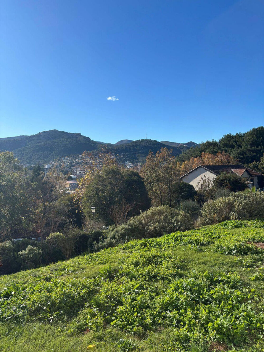 Location Appartement Beau T2 meublé 32m² avec terrasse, vue dégagée Marseille 11