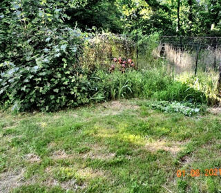  Appartement � louer 2 pi�ces 35 m�