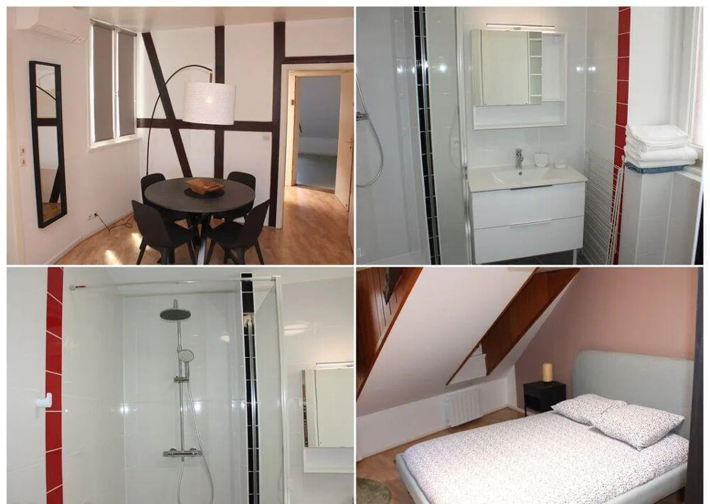 Location Appartement Grand studio meublé 47m2 à Strasbourg Strasbourg