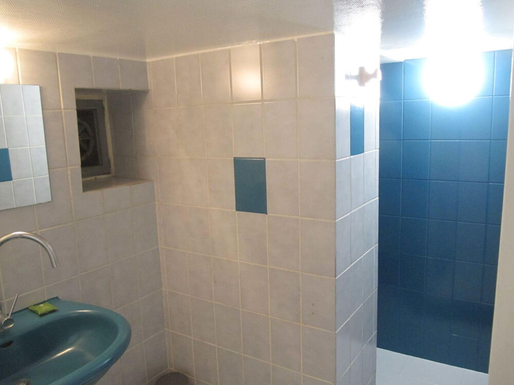 Location Appartement Studio meublé calme avec accès jardin Vitry-sur-seine