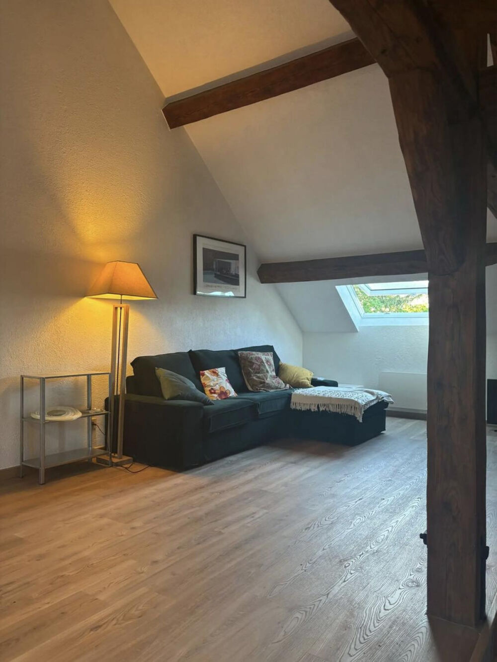Location Appartement Grand T2 sous les toits ferneysiens Ferney-voltaire