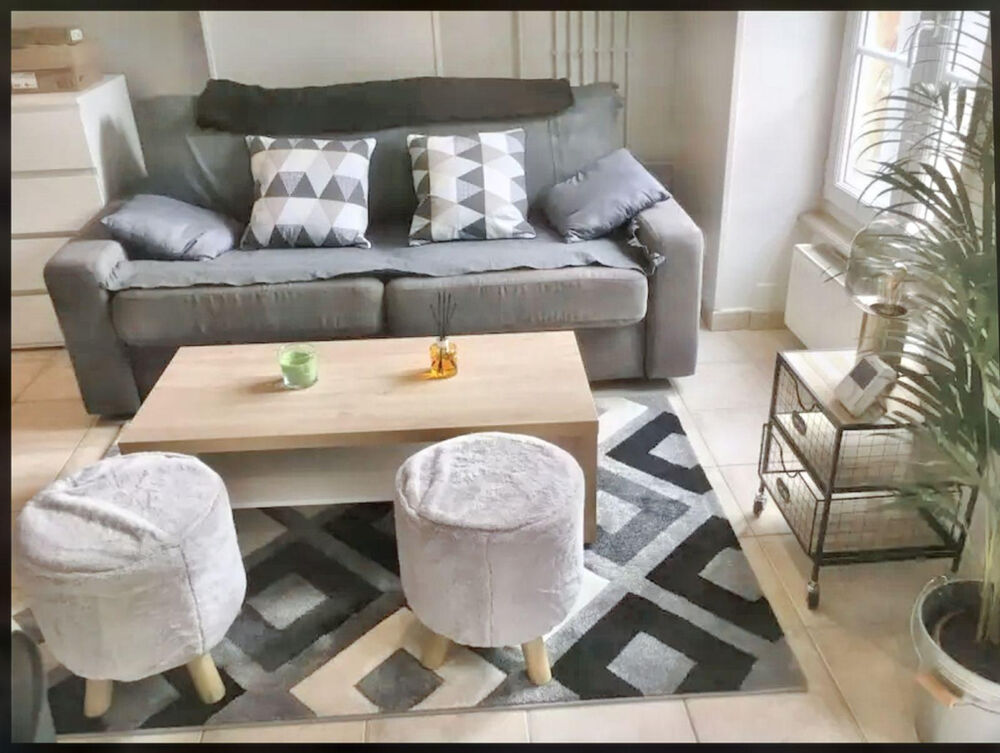 Location Appartement Appartement T2 cosy rénové dans une rue très calme Lyon 4