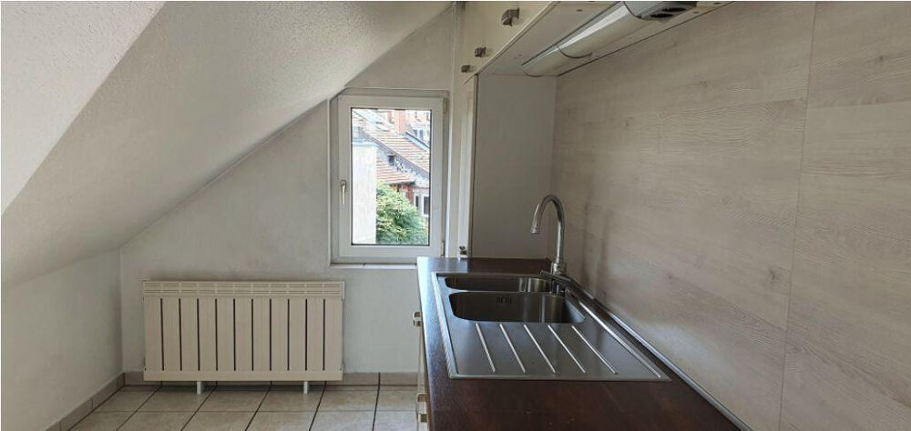 Location Appartement Bel appartement duplex (Strasbourg Orangerie) Strasbourg