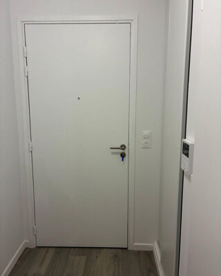  Appartement à louer 1 pièce 30 m²