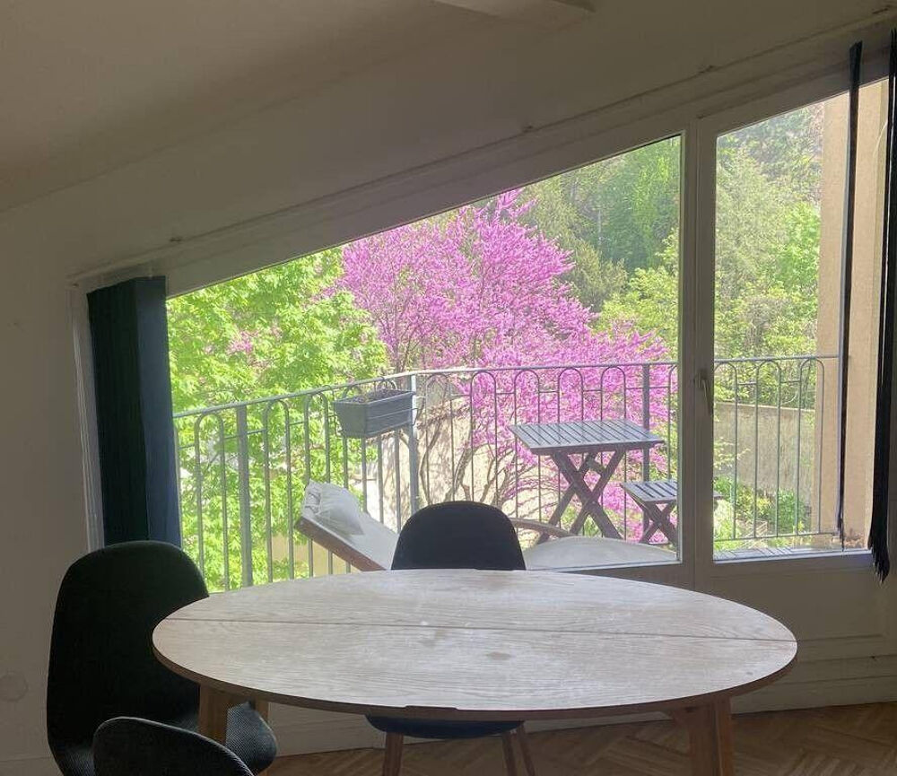 Location Appartement Beau 2P meublé 50m² Croix Rousse Lyon 1