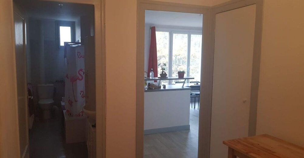 Location Appartement Appartement bien situé, lumineux et fonctionnel Grenoble