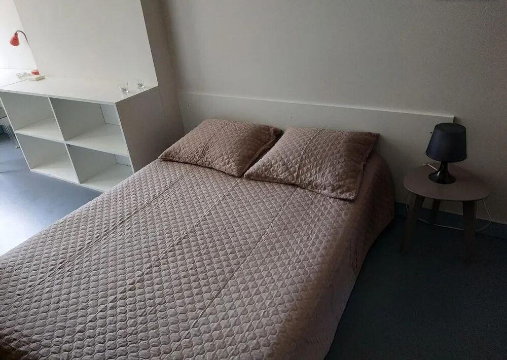 Location Appartement Beau 2P 70m² refait à neuf traversant très clair Saint-Étienne