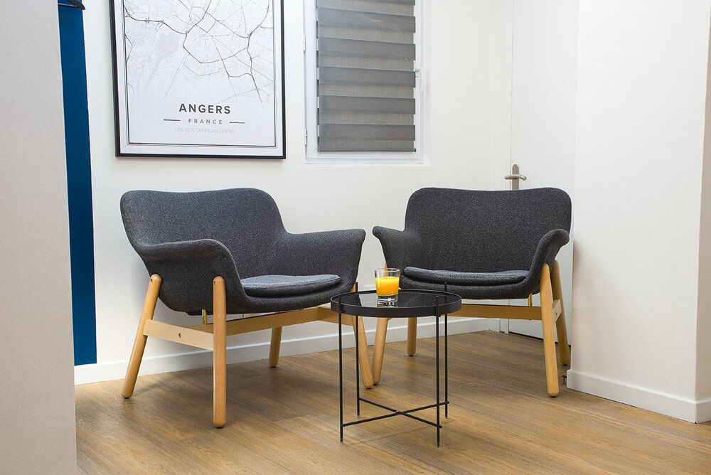 Location Appartement Superbe T1 Bis Meublé Angers