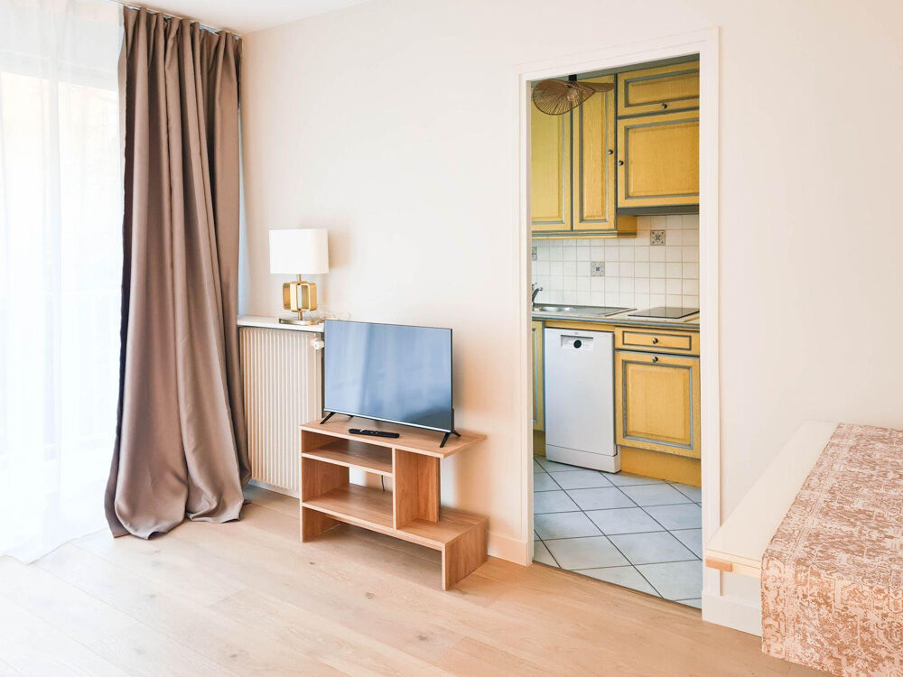 Location Appartement T1 refait à neuf meublé cosy et lumineux terrasse Paris 15