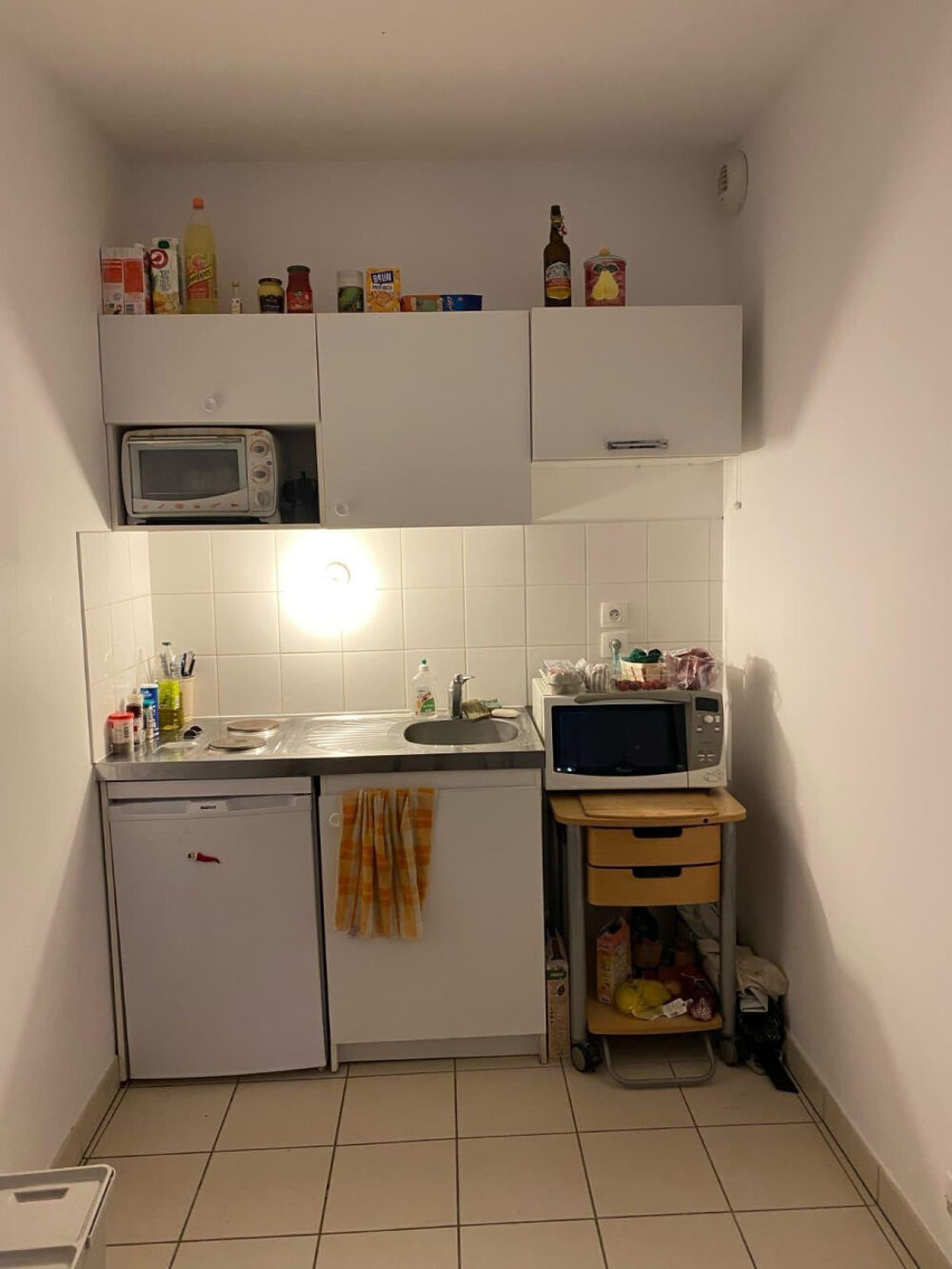 Location Appartement Très bel appartement Lyon 3