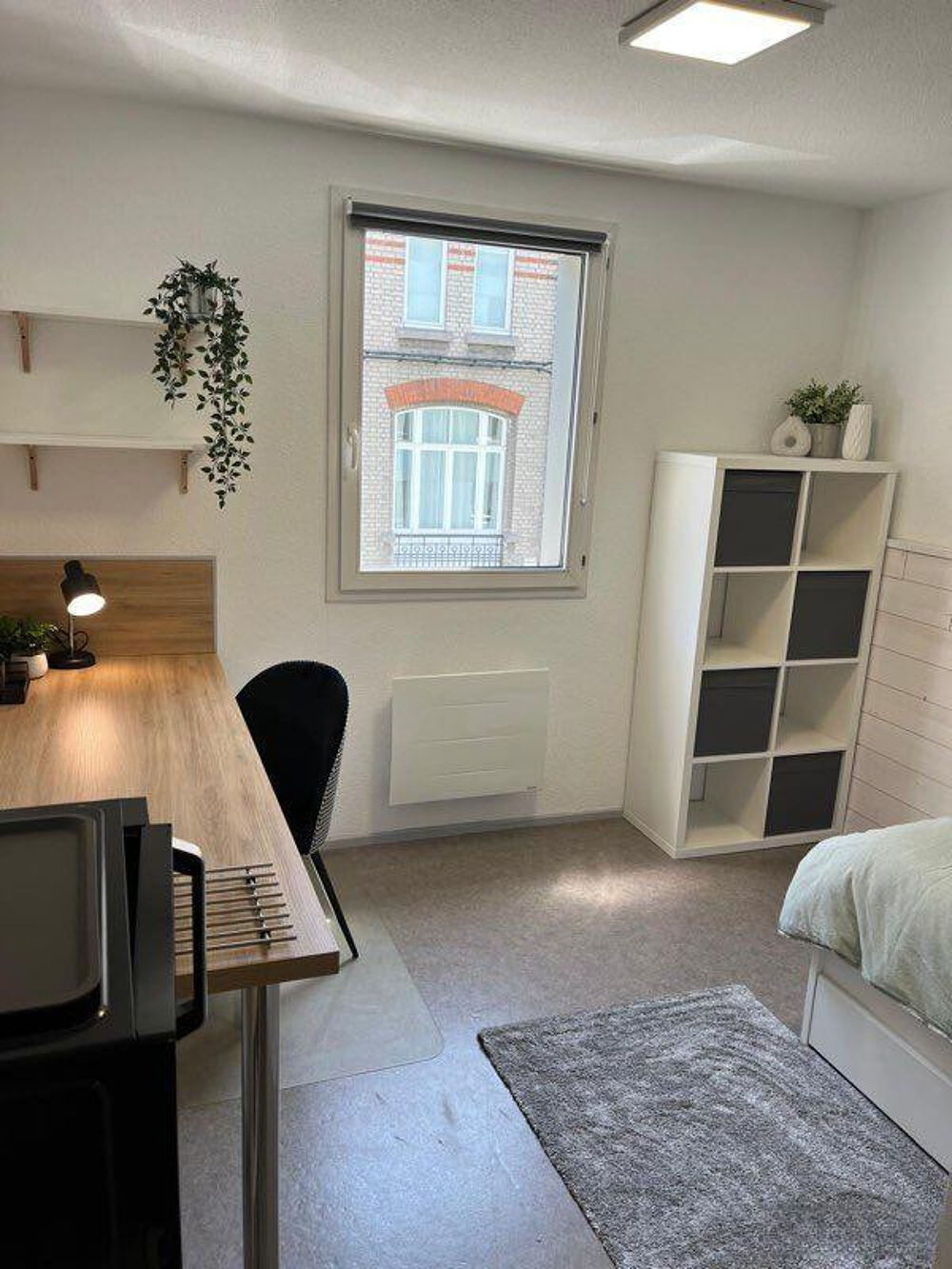 Location Appartement Charmant studio rénové 19m² secteur Vauban Lille
