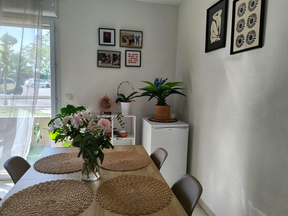 Location Appartement Appartement T2 Carcassonne salvaza Carcassonne