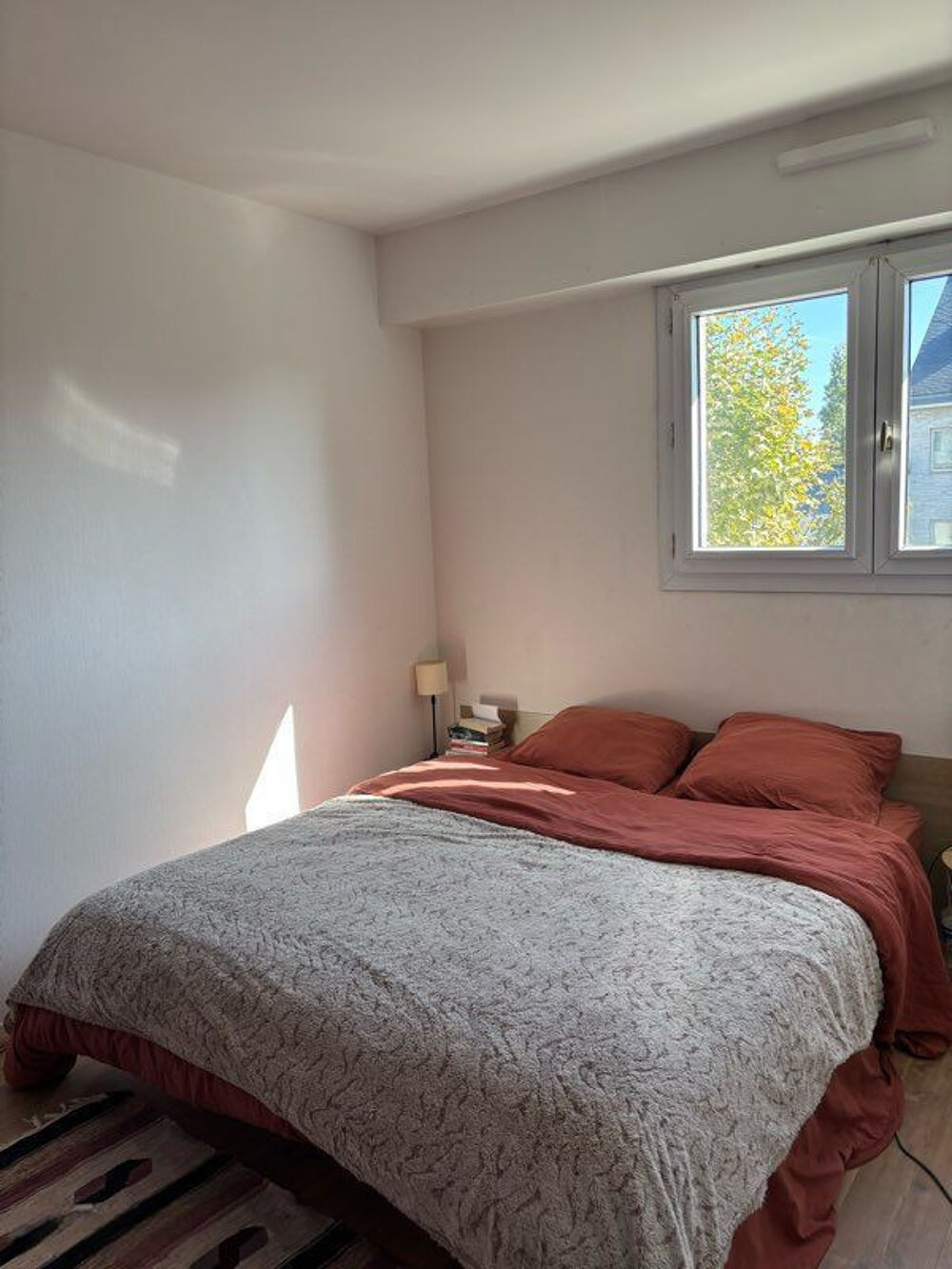 Location Appartement Beau T2 47m² meublé lumineux rénové avec balcon Nantes