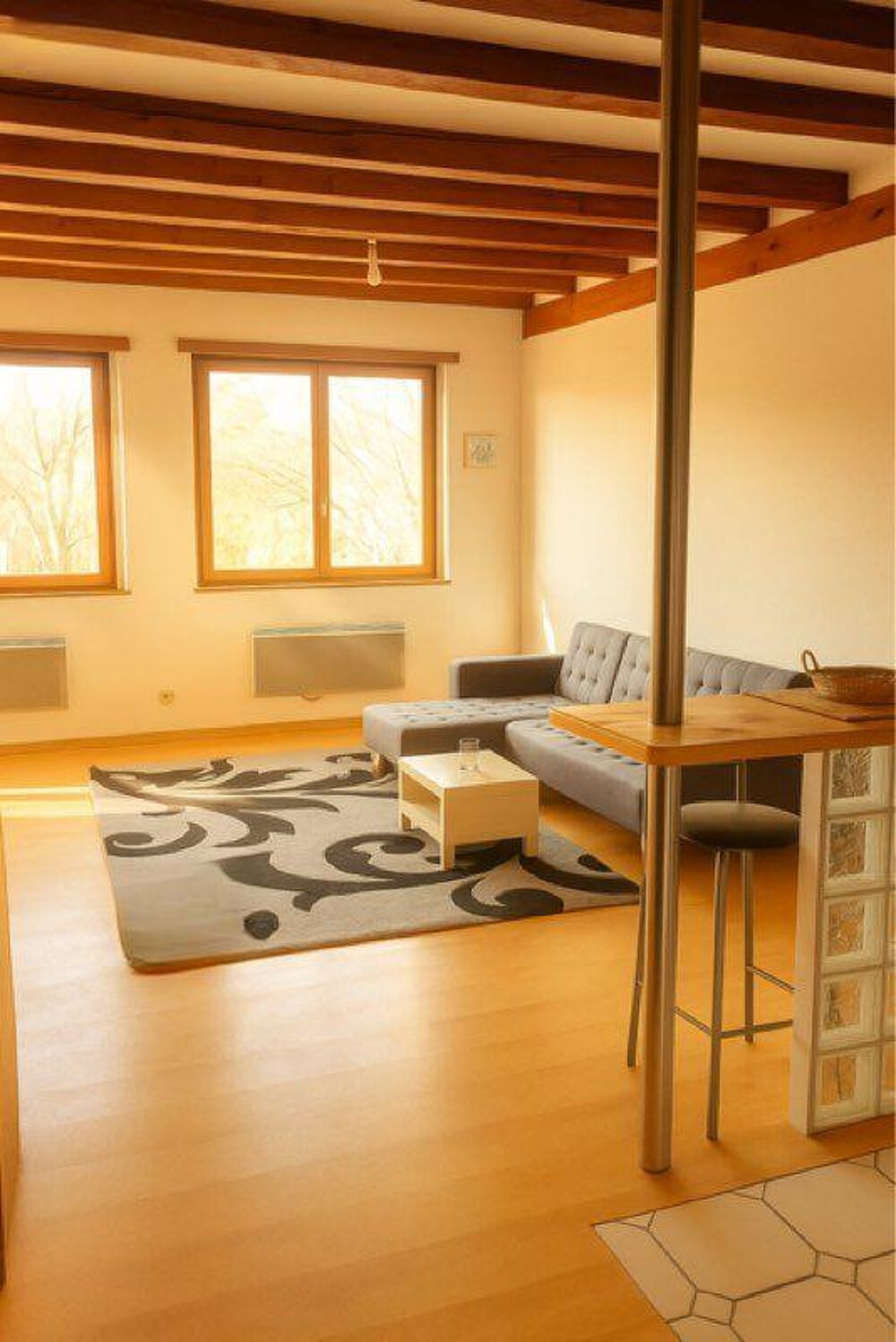 Location Appartement 2 pièces duplex Neudorf Strasbourg