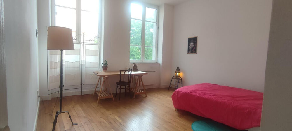 COLOCATION GRAND APPARTEMENT LUMINEUX CROIX-ROUSSE