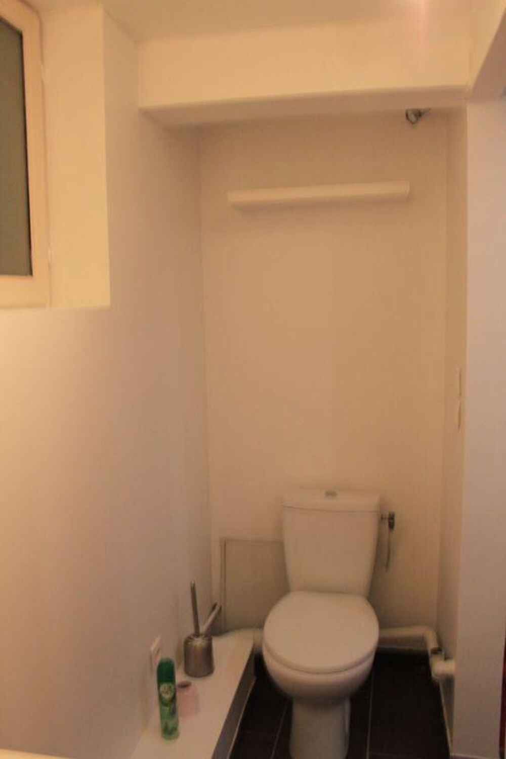 Location Appartement Loue STUDIO DE 23m2 entièrement rénové LYON 01 Lyon 1