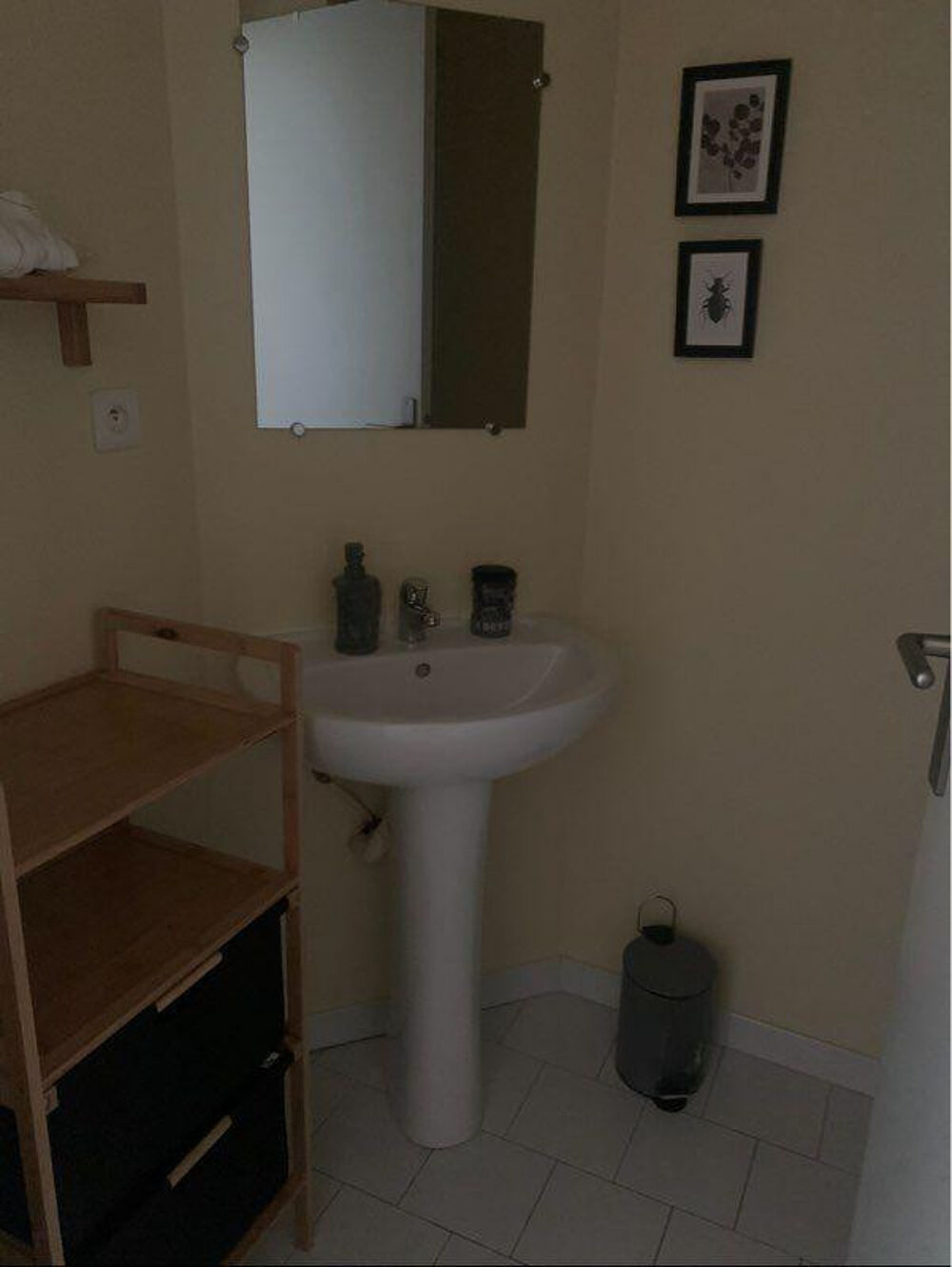 Location Appartement Studio meublé (20 m2) en hypercentre Toulouse