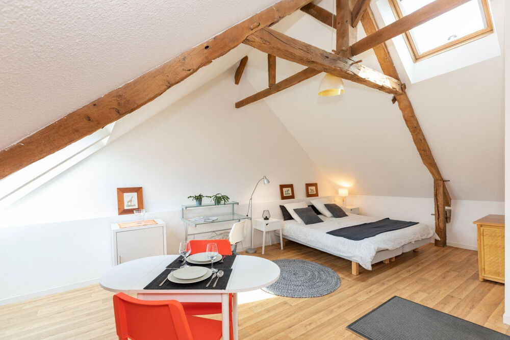 Location Appartement Grand studio lumineux équipé prêt a vivre au calme Chantepie