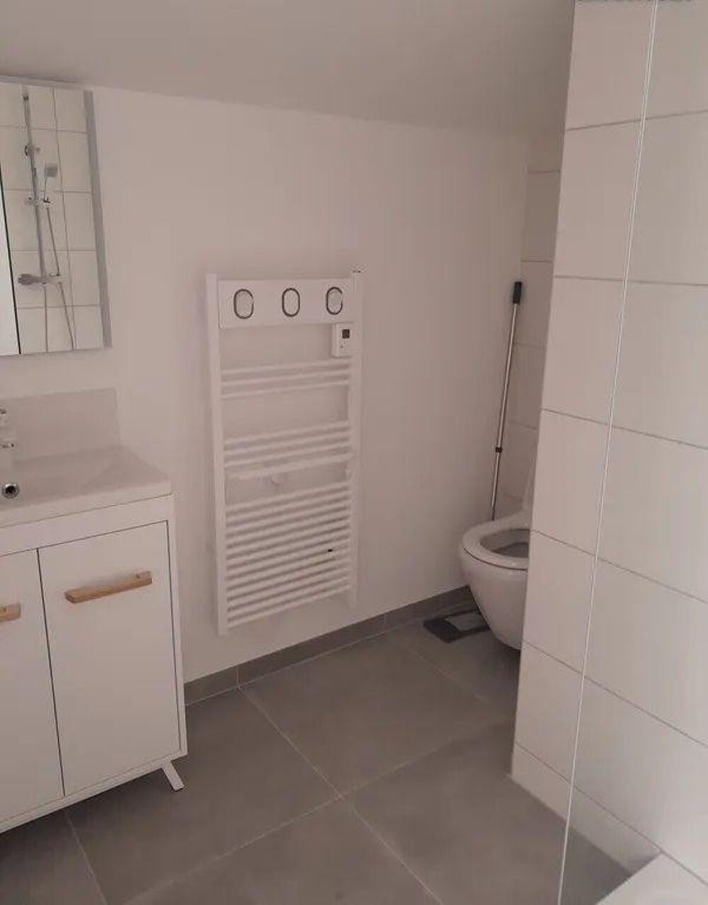 Location Appartement Beau T2 meublé 38m² refait à neuf Cours VITTON Lyon 6