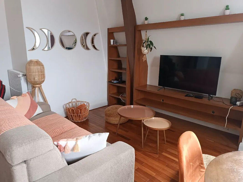 Location Appartement Superbe 2P meublé 65m² Centre ville Mulhouse Mulhouse