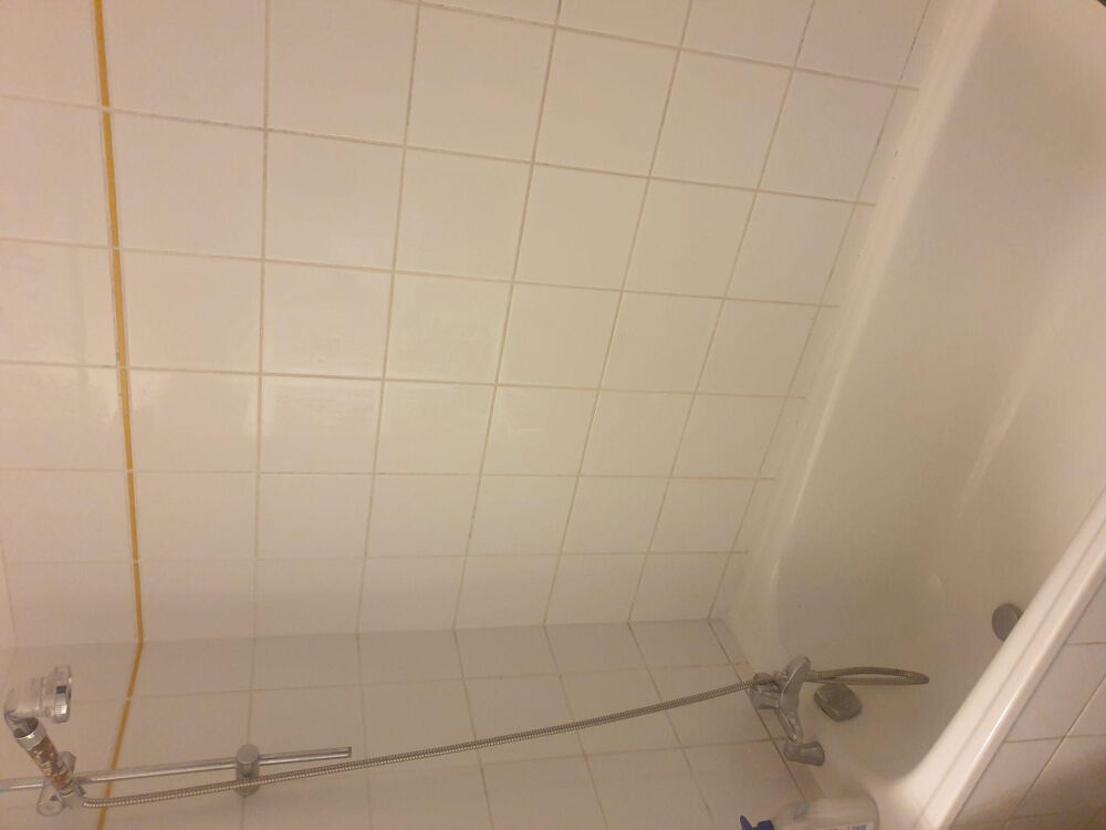 Location Appartement APPARTEMENT T2 47 M2 EN DUPLEX PART DIEU VILLETTE Lyon 3