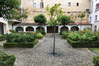  Appartement � louer 2 pi�ces 63 m�