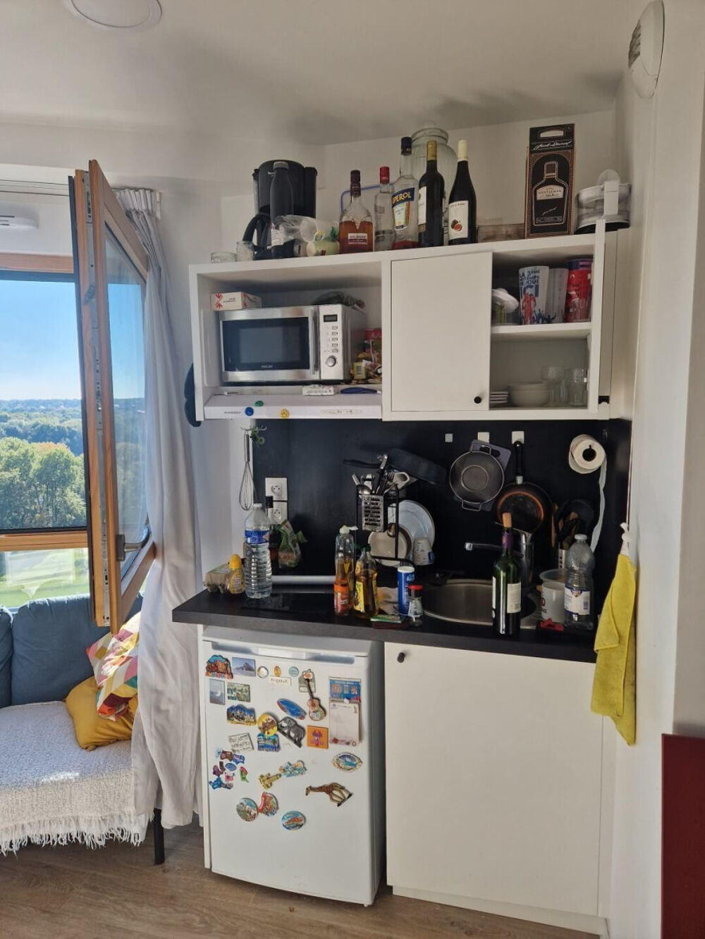 Location Appartement Beau 2P meublé 26m² avec magnifique vue sur forêt Champs-sur-marne