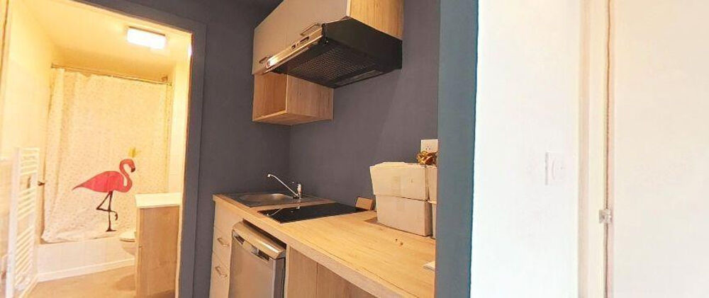 Location Appartement STUDIO Strasbourg gare 30m² meublé Strasbourg