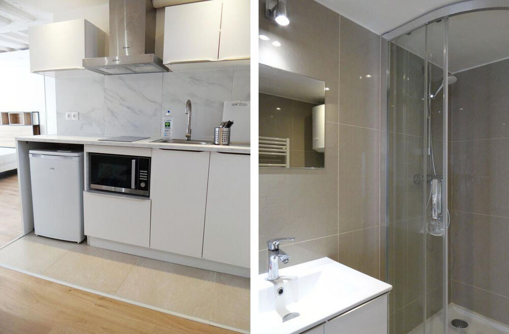 Location Appartement Grand studio rue du Pont aux Choux Paris 3