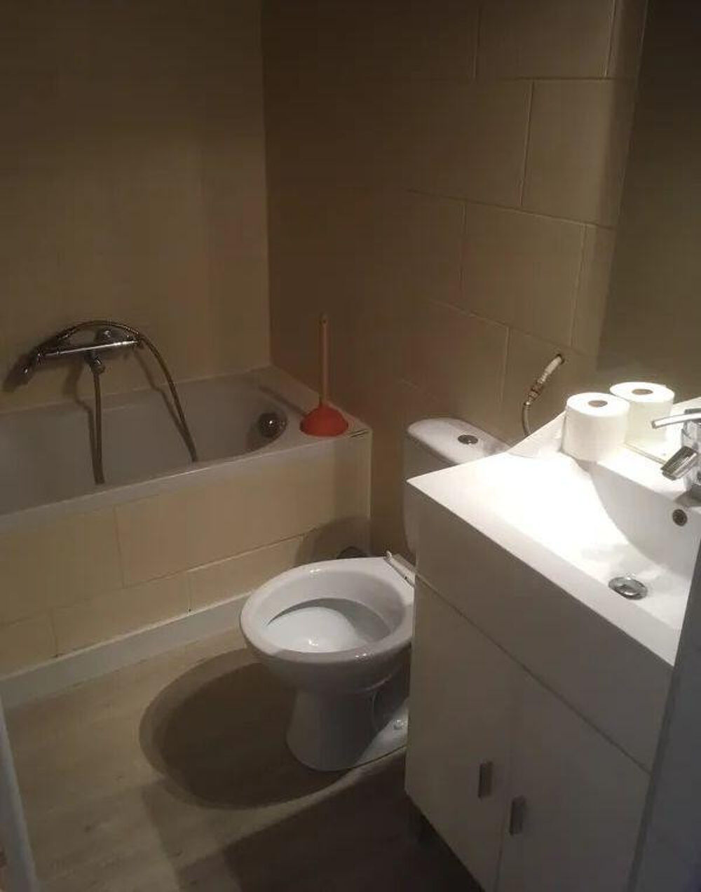 Location Appartement Beau studio meublé 17m² avec accès cour Grenoble
