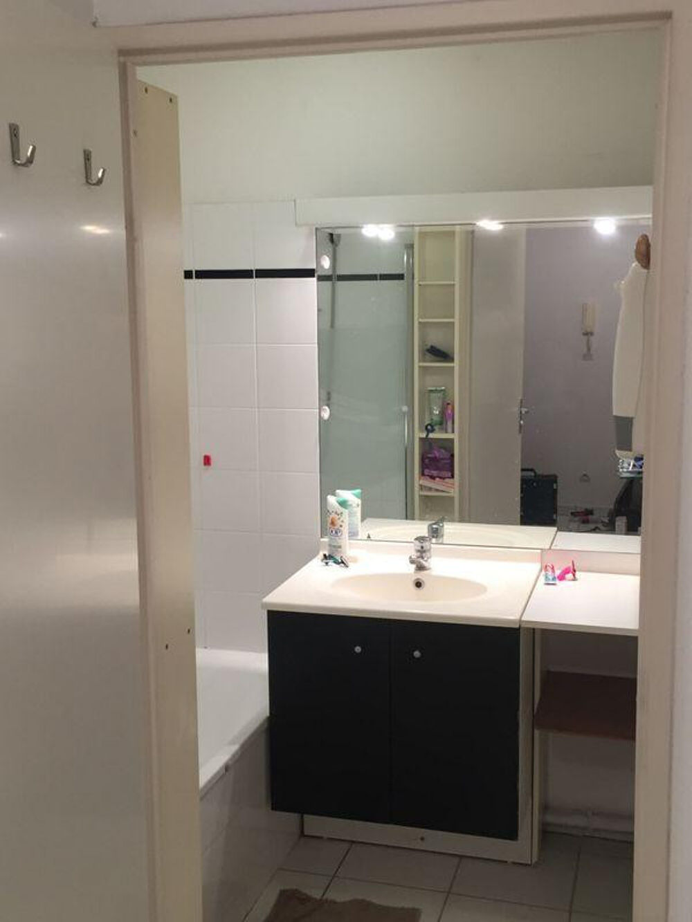 Location Appartement Loue appartement T2 meublé St-Martin du touch Toulouse