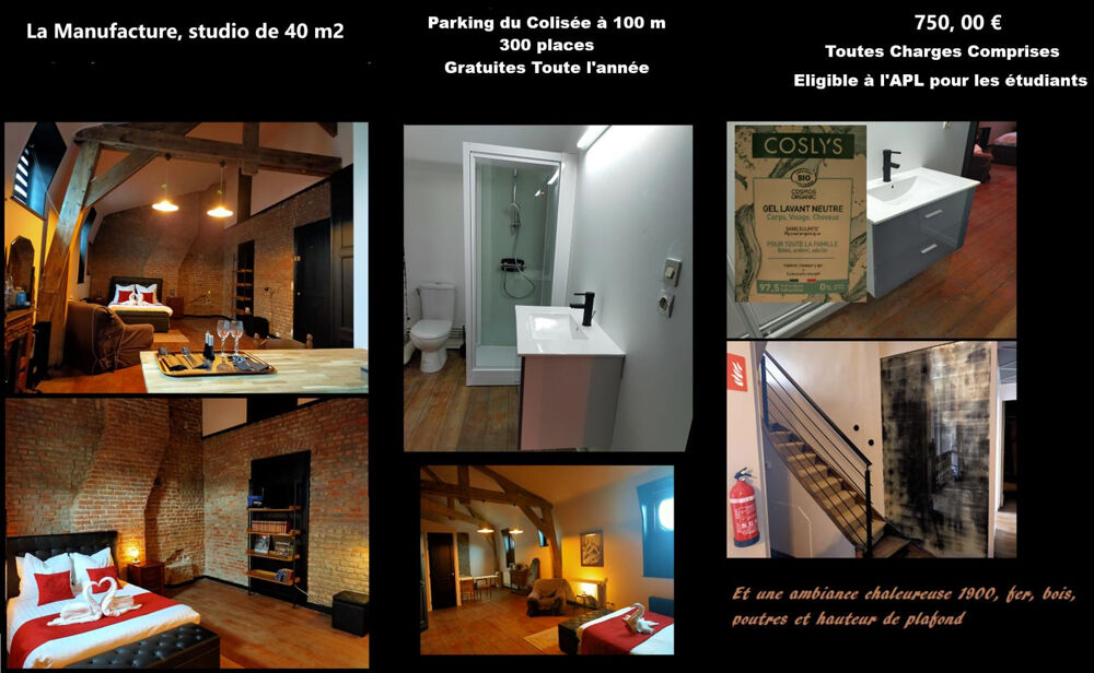 Location Appartement Magnifique studio, calme, avec charme et cachet Roubaix