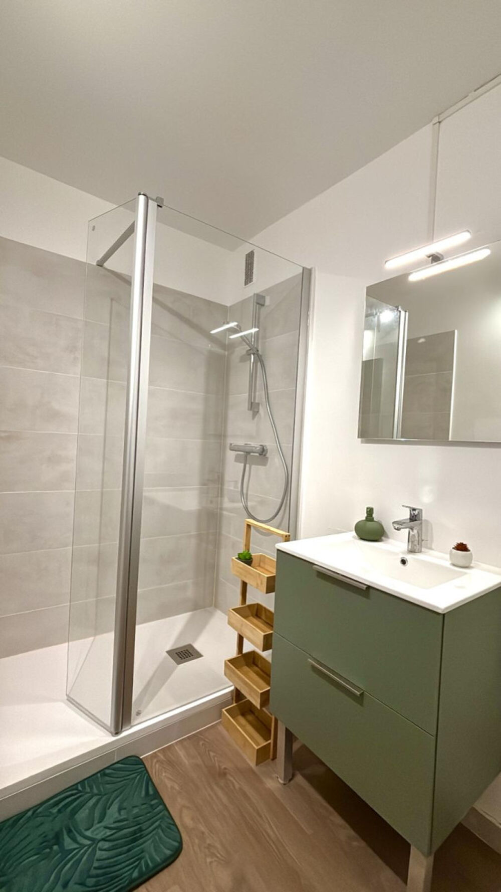 Location Appartement Colocation récemment rénover ! Joué-lès-tours