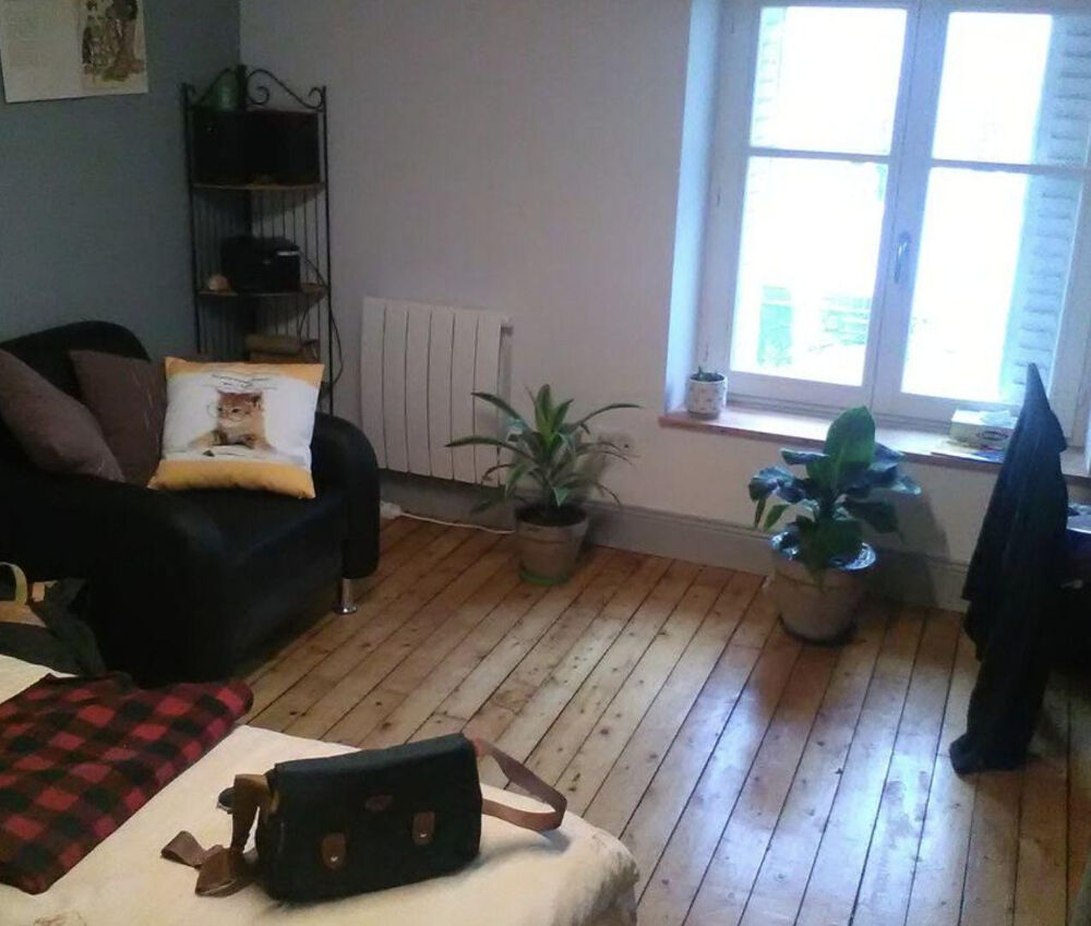 Location Appartement T1 Meublé 21 m² ARTEM Nancy